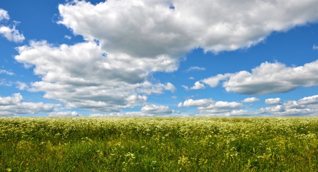 Александровка