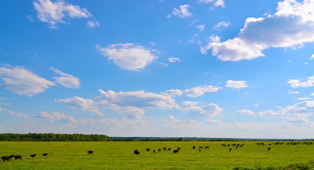 Александровка